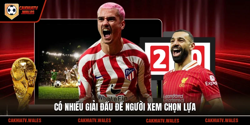 Có nhiều giải đấu để người xem chọn lựa