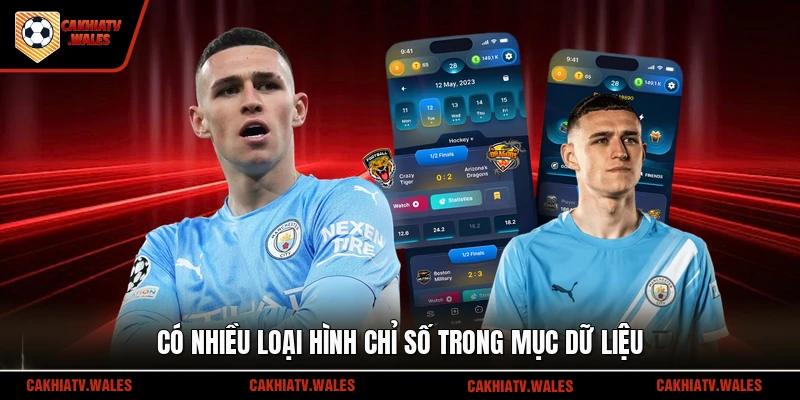 Có nhiều loại hình chỉ số trong mục dữ liệu